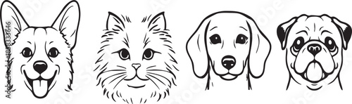 Cute cartoon puppy and kitten playing happily on a black and white floral abstract background with a fun and friendly artistic style