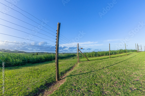 Farm Protection Electrical Fence Agriculture Landscape