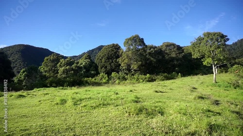 Green natural panorama with a majestic mountain in the background and white clouds covering the sky.
