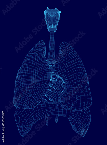 A detailed 3D model of human lungs on a blue background highlights the trachea, diaphragm, and heart within a transparent wireframe anatomy view.