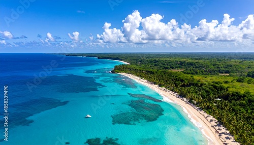 Aerial view of a stunning tropical coastline with turquoise ocean and lush green trees under a blue sky with white clouds.