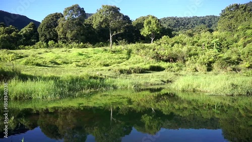 Green natural landscape with trees and hills reflected on calm water surface.	