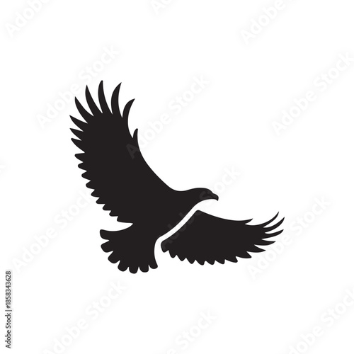 A striking black silhouette of a bird with outstretched wings appears to be soaring gracefully through the air