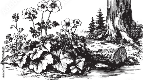 Black and white botanical illustration of flowers with detailed leaves and stems in a natural outdoor setting. Artistic vector design highlighting flora composition.