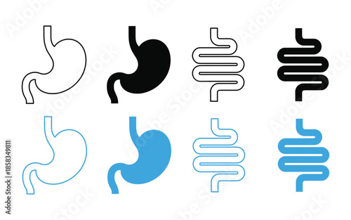 Stomach icon set. Human organ symbol. vector illustration. human anatomy biology icon