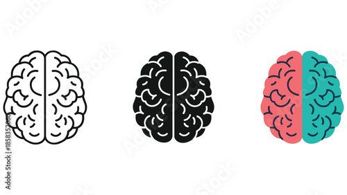 Brain illustration with different color schemes
