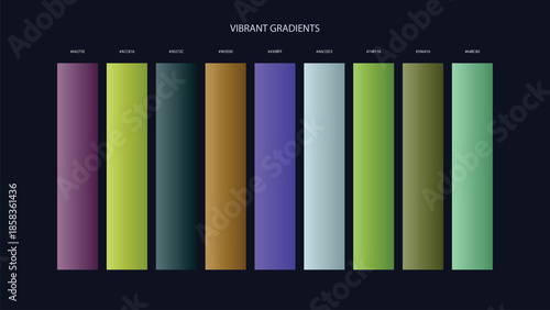 Vibrant Gradient Color Palette Swatches with HEX Codes for UI and Branding on Dark Background