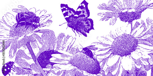 Butterfly and bee interacting with flowers in violet colors. Detailed botanical illustration set in a natural environment. Vector artwork.