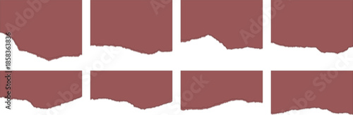 Set of torn paper isolated on white