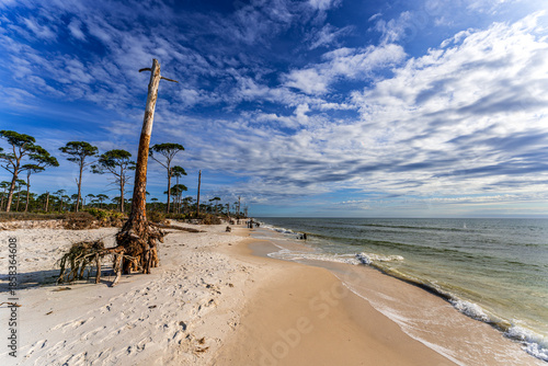 Scenic shoreline at Cape San Blas, Florida, featuring sunlit sand, scattered driftwood, and a prominent weathered stump against a calm Gulf backdrop