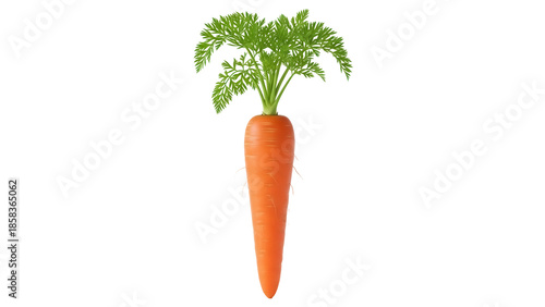 Obraz na plátně Vibrant orange carrot with green leaves isolated PNG, fresh vegetable for health