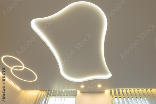 Futuristic ceiling design with a decorative organic-shaped light niche, complemented by ring lights and a hidden cornice for vertical blinds.