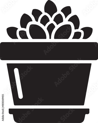 Succulent plant in simple pot