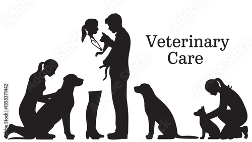 Veterinarians examining pets in a clinic for animal care