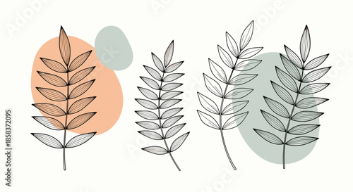 Artistic sketches of leaf branches overlapping abstract muted color shapes for a modern and stylish botanical wall art design.