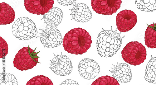 Luscious seamless pattern featuring ripe pink raspberries and their outlines on a clean white background for fresh fruit themes.