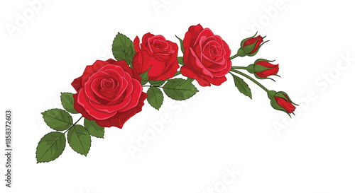 Beautiful red rose bouquet with green leaves and flower buds isolated on white background for romantic greeting card design.