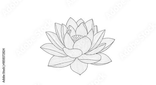 Detailed black line art illustration of a blooming lotus flower isolated on white background for meditation or yoga logo design.