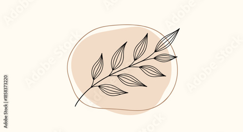 Minimalist hand drawn black leaf branch illustration with a soft beige organic shape on a light cream background.