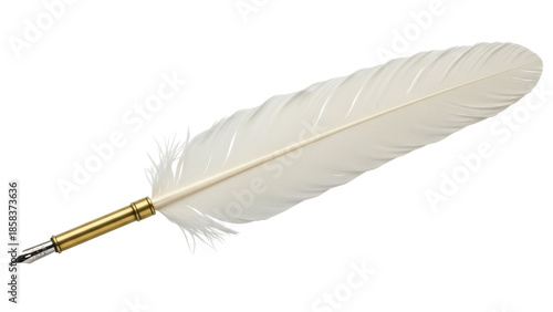 Slika na platnu Isolated traditional quill pen for writing, antique feather writer object, creat