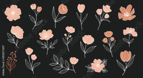 Collection of elegant hand drawn flowers and branches in a soft peach color set against a dramatic black background.