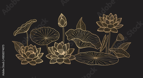 Elegant gold hand drawn lotus flowers and leaves on a black background, creating a luxurious oriental composition.