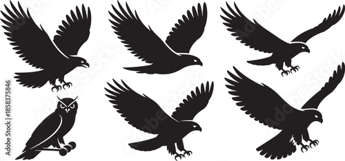 Set of black eagle vector illustrations featuring bird silhouettes and flying hawk symbols with spread wings for nature design and tattoo art