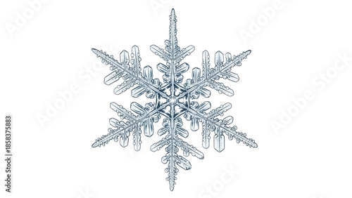 Isolated elegant snowflake, crystal clear ice shape, winter frost symbol, seasonal design element