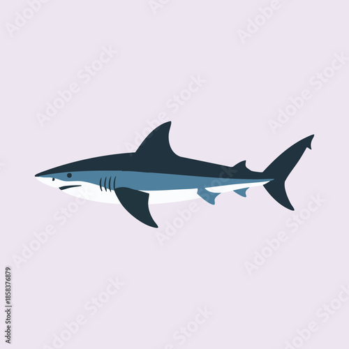 Stylized Shark Illustration with Prominent Fins in Blue