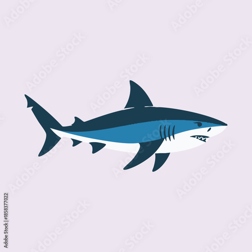 Illustration of a Blue Shark with Open Mouth and Sharp Teeth