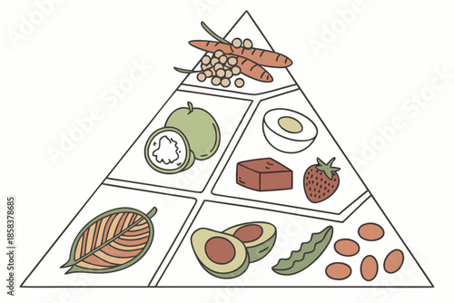 Balanced Nutrition Food Set With Simple Geometric  (11) Vector Illustration
