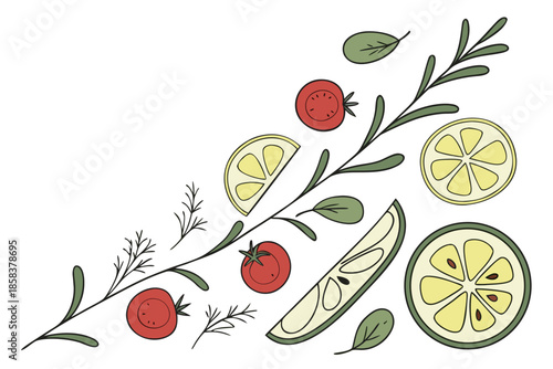 Fresh Food Ingredients Forming Abstract Shape  Cle (11) Vector Illustration