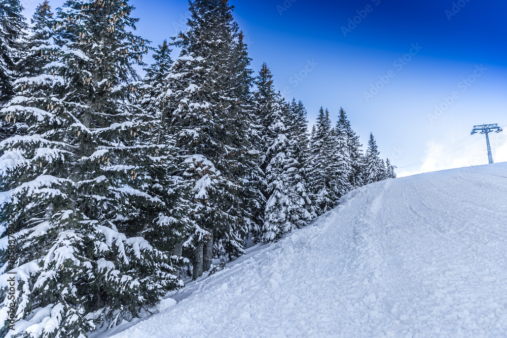 Obraz premium A beautiful winter scene in the mountains of Slovakia, featuring heavy snow on evergreen spruce trees along a groomed ski slope under a clear blue sky