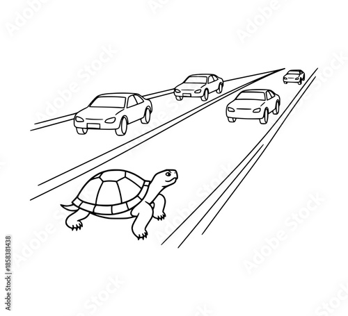 Turtle crossing busy road
