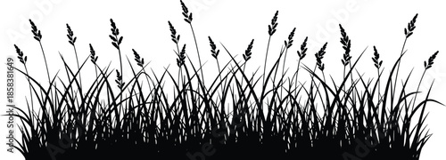 Black Silhouette of Grass and Spikes, Vector Design Element for Nature, Garden, Outdoor, Meadow, Farm, and Weed Control Concepts.