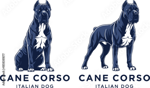 Cane Corso dog illustration set, powerful Italian breed artwork showing sitting and standing poses, strong guardian mastiff design for branding