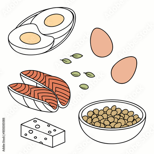 Protein Food Ingredients Set  Minimal Vector  Whit (5) Vector Illustration