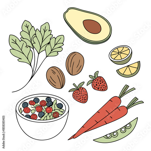 Healthy Raw Food Ingredients Collection  Minimal V (9) Vector Illustration