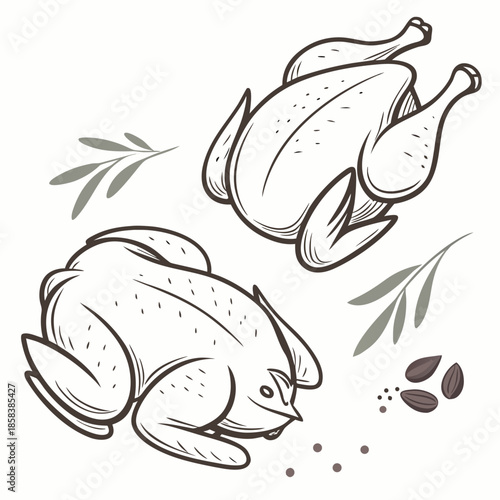 Raw Chicken Meat Pieces  Flat Vector Illustration  (10) Vector Illustration