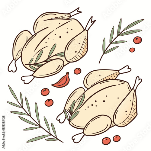 Raw Chicken Meat Pieces  Flat Vector Illustration  (11) Vector Illustration