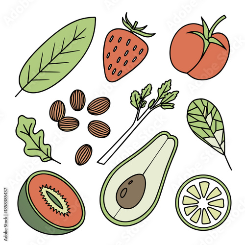 Healthy Raw Food Ingredients Collection  Minimal V (11) Vector Illustration