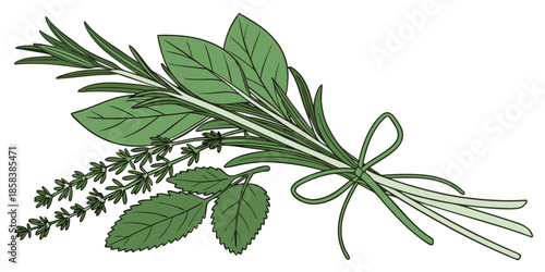 Fresh Herbs And Greens Bundle  Minimal Vector  Whi (9) Vector Illustration