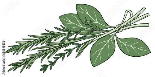 Fresh Herbs And Greens Bundle  Minimal Vector  Whi (11) Vector Illustration