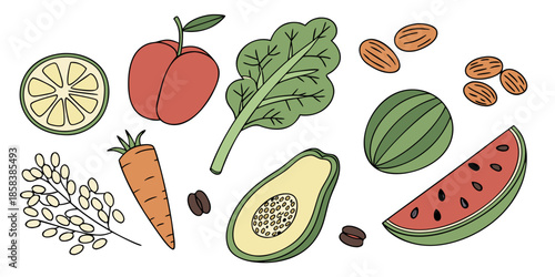 Healthy Vegan Food Ingredients  Flat Vector  White (8) Vector Illustration