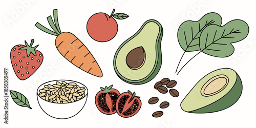 Healthy Vegan Food Ingredients  Flat Vector  White (10) Vector Illustration