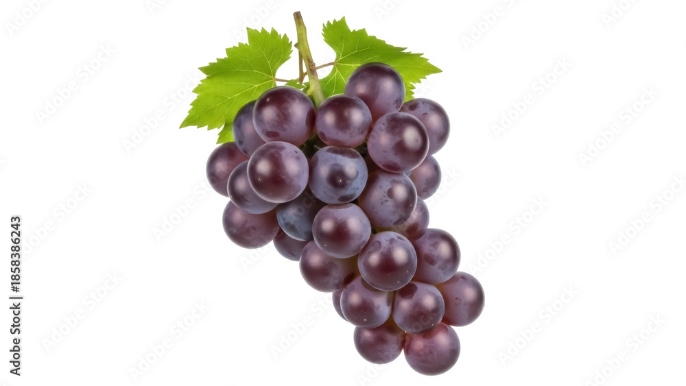 Fototapeta premium Isolated red grapes, fresh fruit with leaves on stem, nutritious food and snack product
