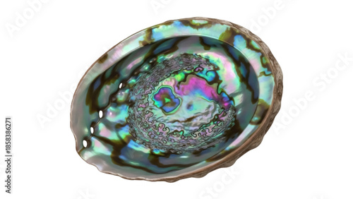 Quadro su tela Isolated iridescent abalone seashell with a rough, textured surface and bright c