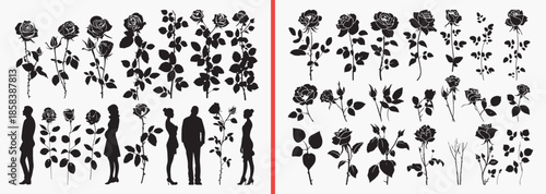 floral leaf silhouettes vector, botanical leaves clipart, plant foliage svg, nature leaf illustration, wild plant graphics, black floral silhouettes, garden vector art, botanical design elements, leaf