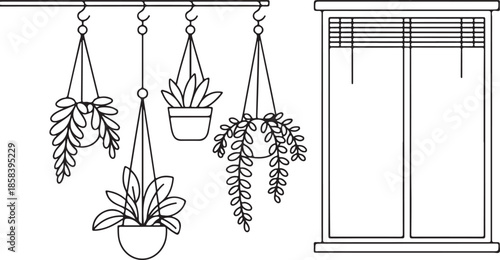 Hanging plants by a window