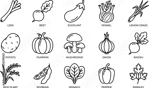 Vegetable icons, plant vector set, food, farming, agriculture, organic, healthy, nutrition, garden, cooking, kitchen, leek, beet, eggplant, fennel, lemongrass, potato, pumpkin, mushroom, rice, soybean